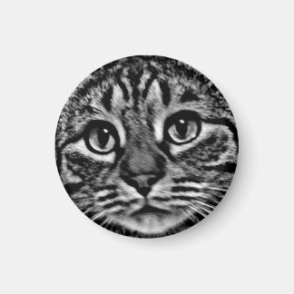 Magnet - General Tso, Schwarz und Weiß