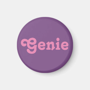 Magnet Genie