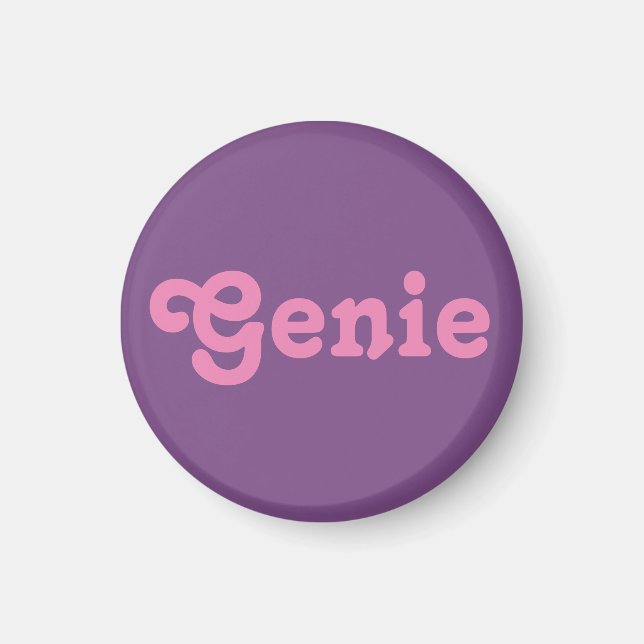 Magnet Genie (Vorne)