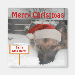 Magnet German Shepherd Santa Stopp Hier Unterschre