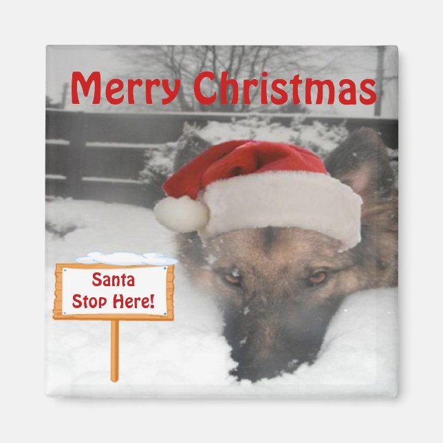 Magnet German Shepherd Santa Stopp Hier Unterschre (Vorne)