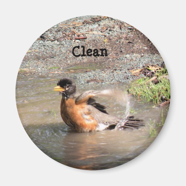Magnet, Geschirrspüler, Clean Robin Magnet (Vorne)