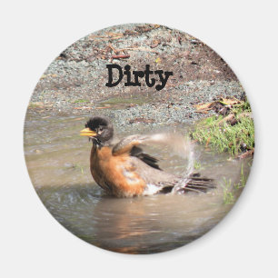 Magnet, Geschirrspüler, Robin, der ein Bad nimmt,  Magnet