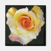 Magnet Herz-Rose