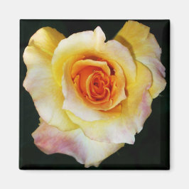 Magnet Herz-Rose