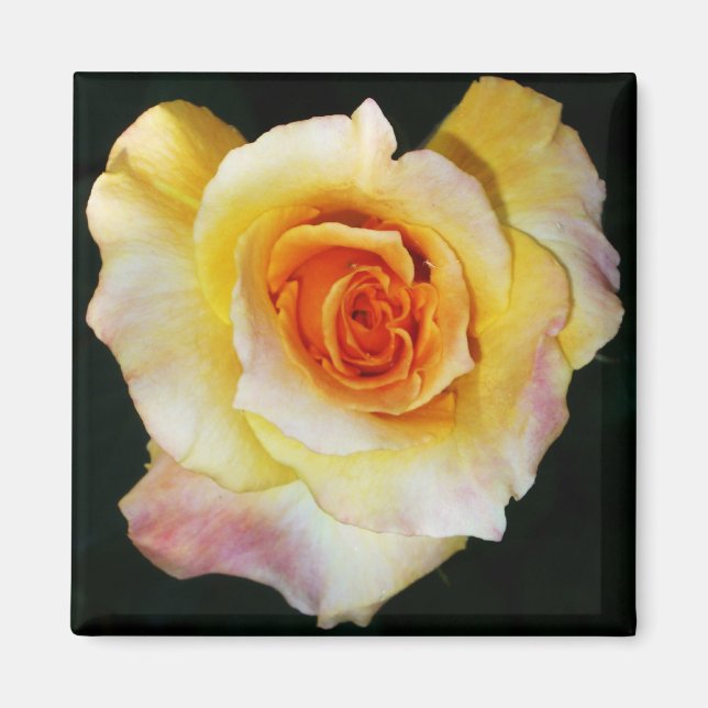 Magnet Herz-Rose (Vorne)