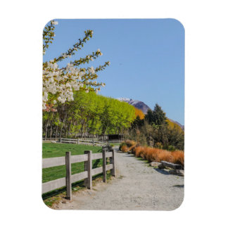 Magnet - Hintergrund von Walter's Peak