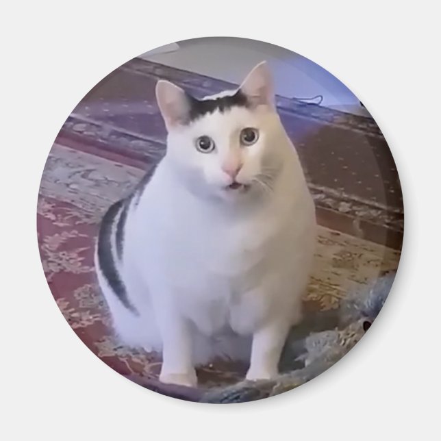 Magnet Huh Cat Meme (Vorne)