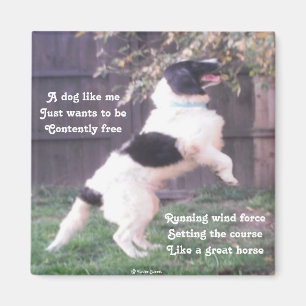 Magnet Hund Pferdegedicht von Ladee Basset