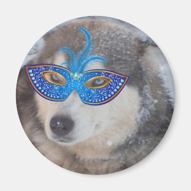 Magnet Husky Blue Eyes Mardi Gras Mask (Vorne)