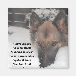 Magnet I have Dreams Gedicht von Ladee Basset