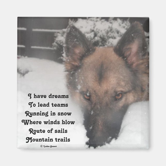 Magnet I have Dreams Gedicht von Ladee Basset (Vorne)