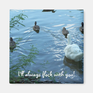 Magnet I schart immer sich mit Ihnen!