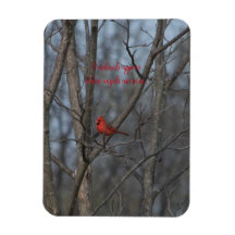 Magnet-Kardinäle erscheinen, wenn Engel nahe sind.