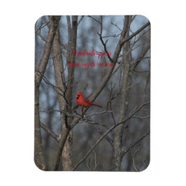 Magnet-Kardinäle erscheinen, wenn Engel nahe sind. Magnet