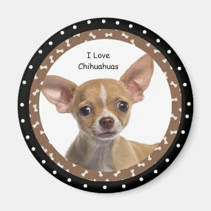 Magnet Liebe I Chihuahuas-2