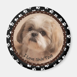 Magnet Liebe I Shih Tzus