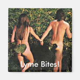 Magnet, Lyme-Borreliose-Ticken-Bewusstsein Magnet