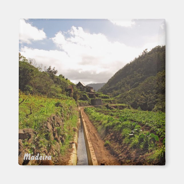 Magnet Madeira - Levada do Caniçal (Vorne)