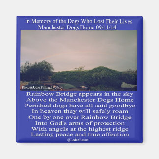 Magnet Manchester Rainbow Bridge Geem