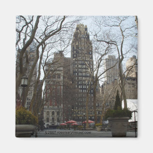 Magnet Manhattan-Morgen-II