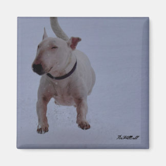 Magnet mit Bullenterre im Schnee