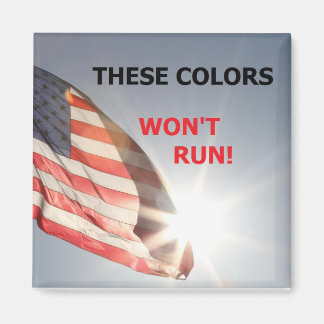 Magnet mit Fahne und "DIESE FARBEN WERDEN NICHT LA