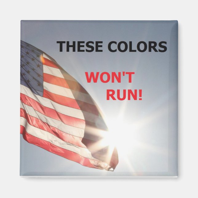 Magnet mit Fahne und "DIESE FARBEN WERDEN NICHT LA (Vorne)