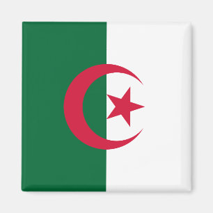Magnet mit Flagge Algeriens