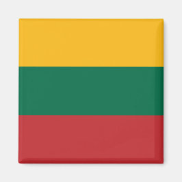 Magnet mit Flagge Litauens