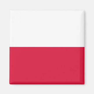 Magnet mit Flagge Polens