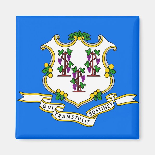 Magnet mit Flagge von Connecticut Staat - USA (Vorne)