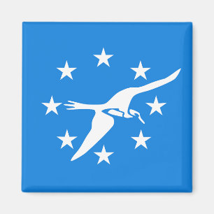 Magnet mit Flagge von Corpus Christi, Texas, USA