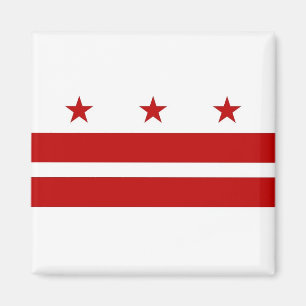 Magnet mit Flagge von Washington DC - USA