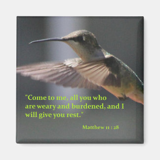 Magnet mit Kolibri - geben Sie Erholung