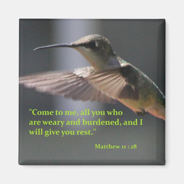 Magnet mit Kolibri - geben Sie Erholung (Vorne)