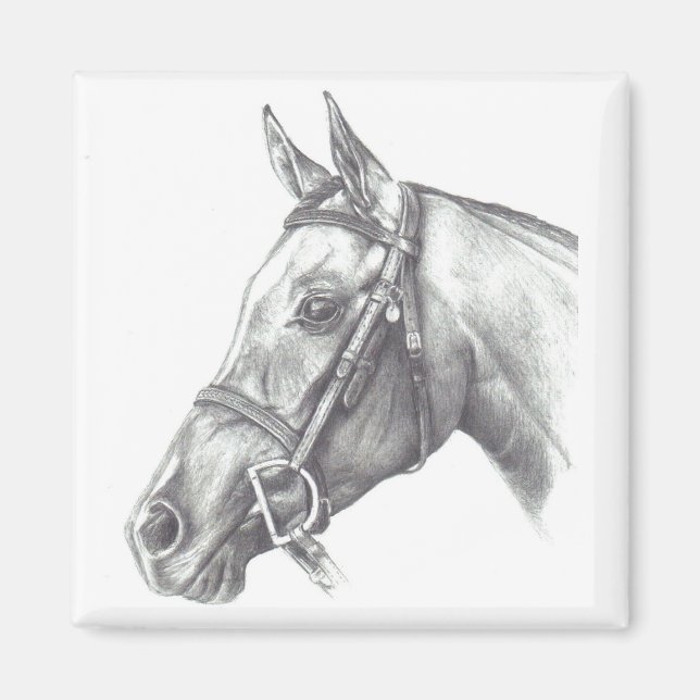 MAGNET MIT PFERDEKOPF (Vorne)