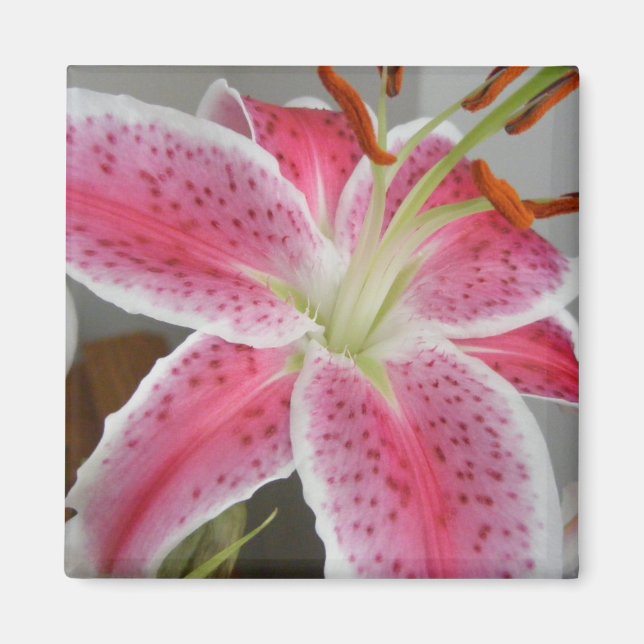 MAGNET MIT PINK LILY (Vorne)