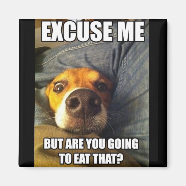 MAGNET MIT REDEWENDUNGEN (Vorne)