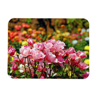 Magnet mit rosa Rosenprint