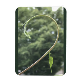 Magnet mit Trichterwindenranke und -blatt