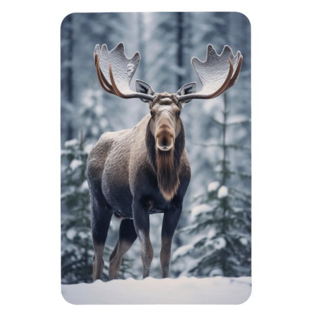 Magnet-Moose Magnet (Vertikal)