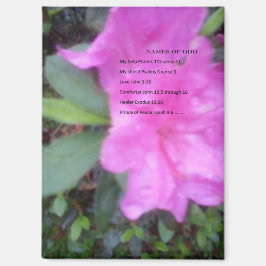 magnet-names of God Magnet