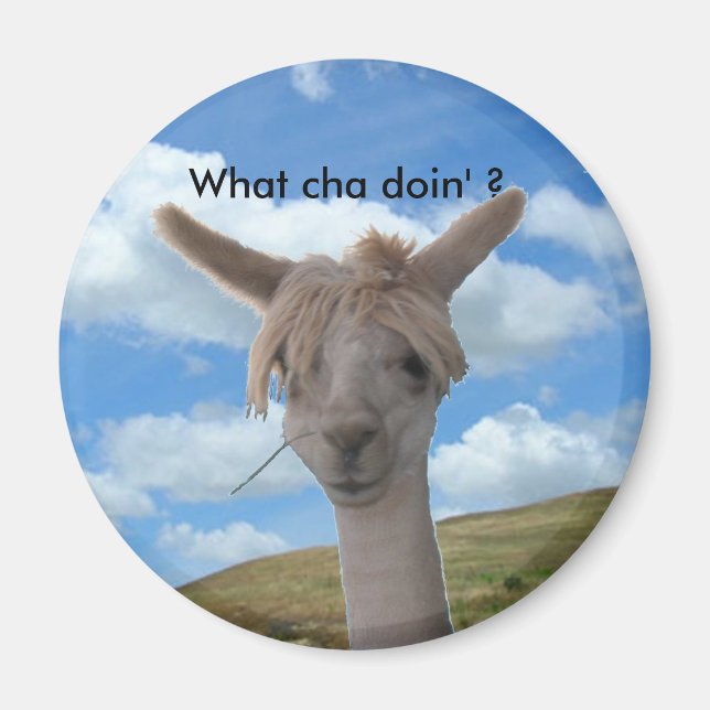 Magnet - Neugierige Alpaca (Vorne)