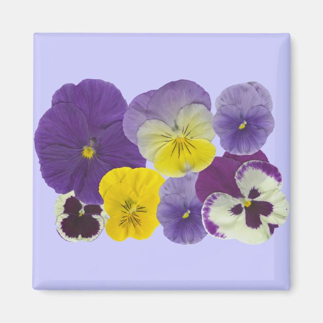 Magnet ohne Titel (Vorne)