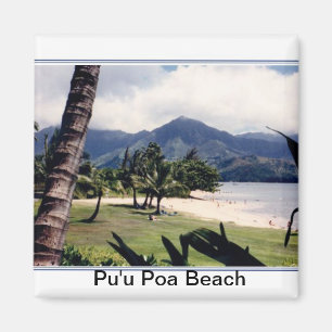 Magnet-Pu'u Poa-Strand Magnet
