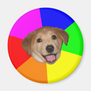Magnet Ratgeber Dog Meme
