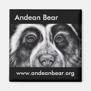 Magnet Roger Manrique