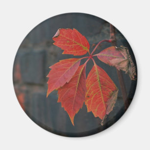 Magnet Rote Blätter