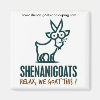 Magnet Shenanigoats...Vergiss uns nie!